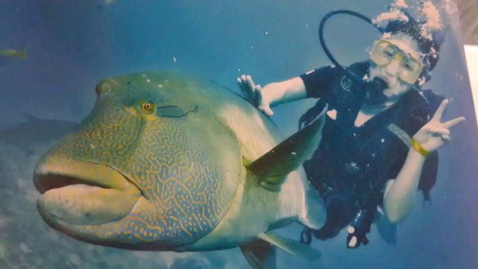 澳大利亚昆士兰州自由行攻略,澳洲三个月之旅