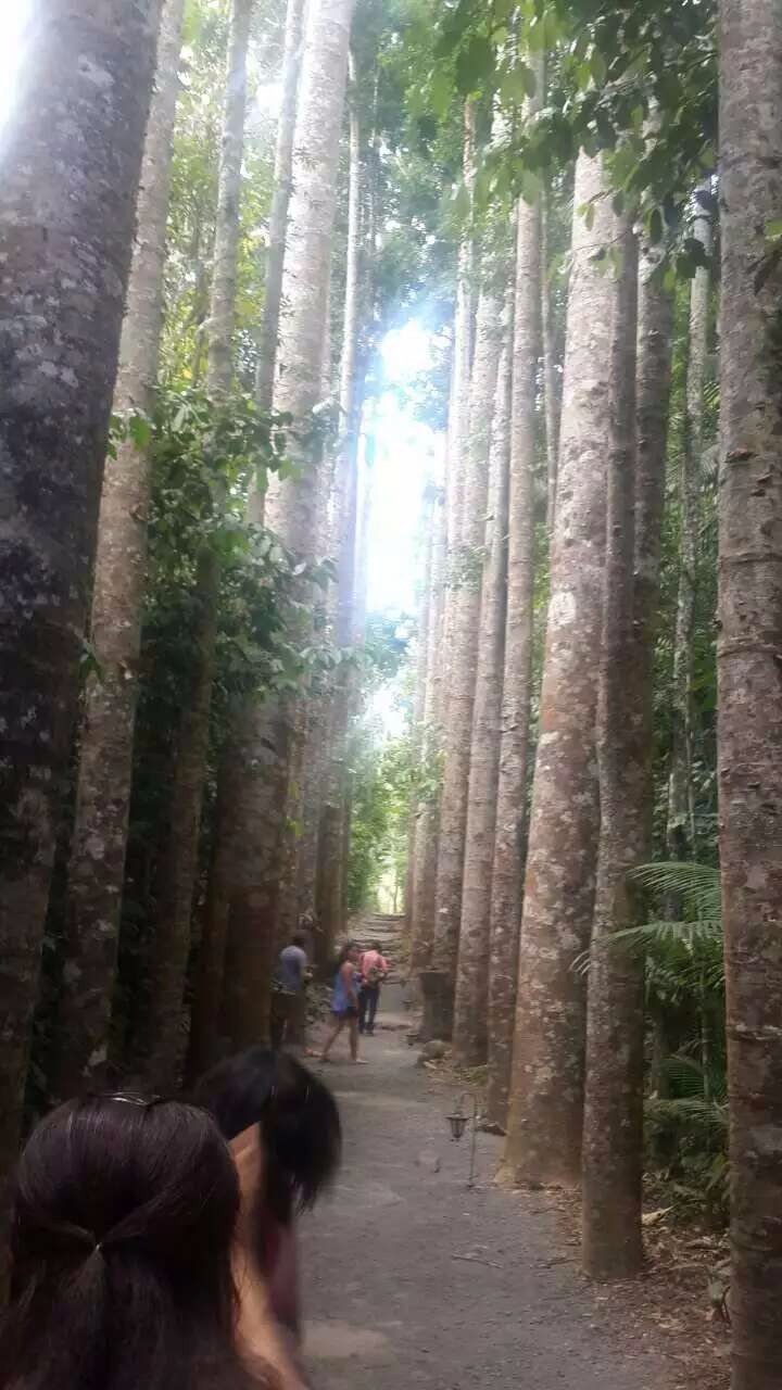 澳大利亚昆士兰州自由行攻略,澳洲三个月之旅