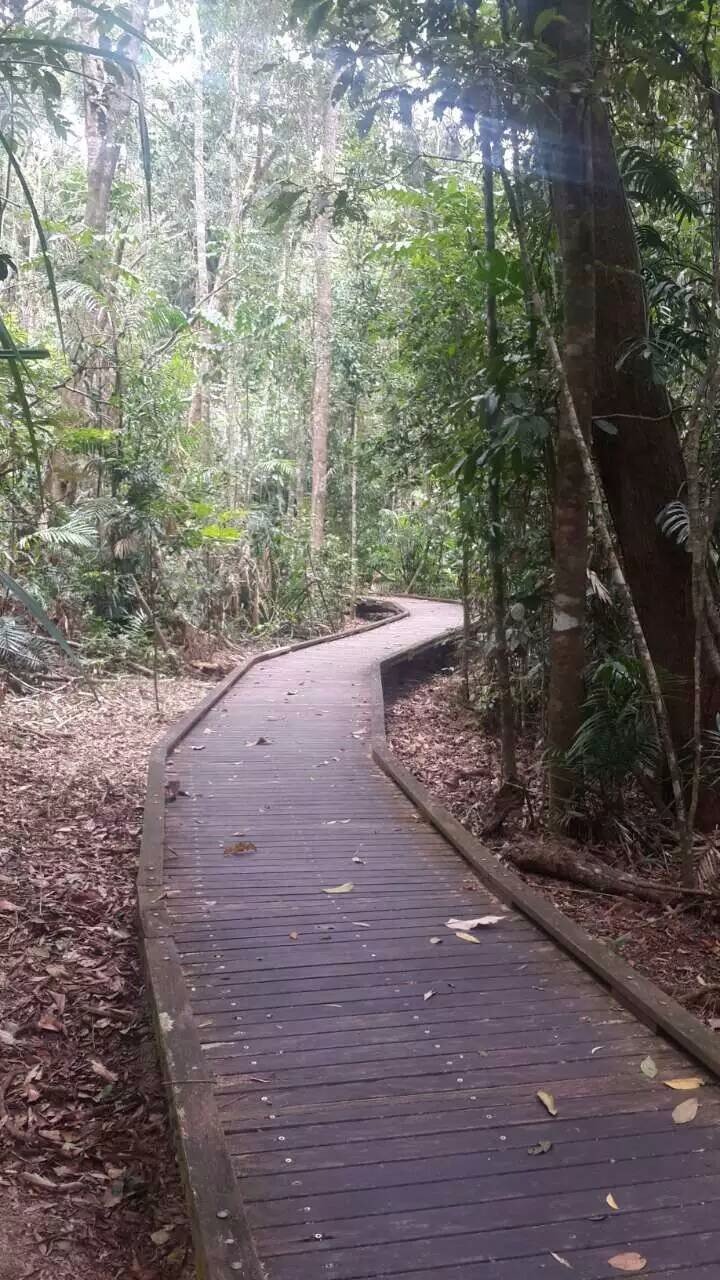 澳大利亚昆士兰州自由行攻略,澳洲三个月之旅