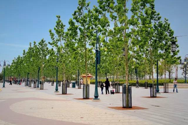 迪士尼新项目建造,万达迪士尼