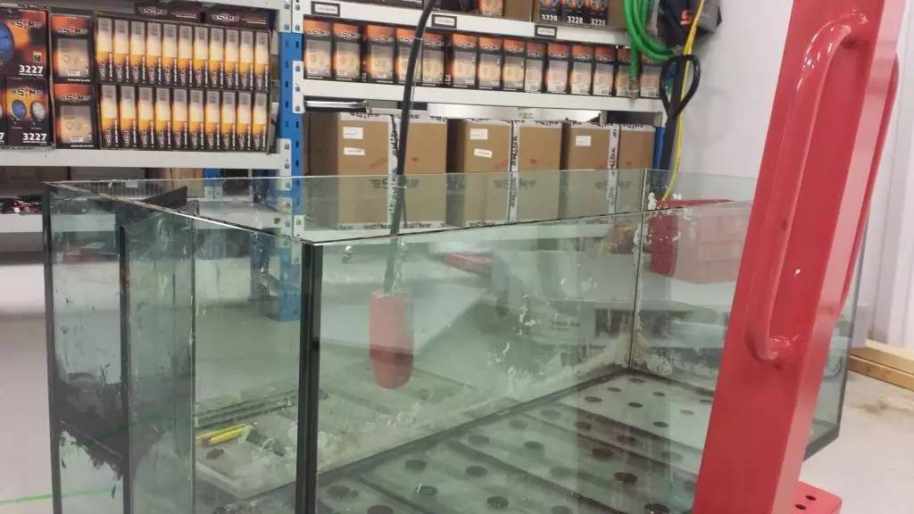 北欧古法缸,记录原生缸养鱼过程