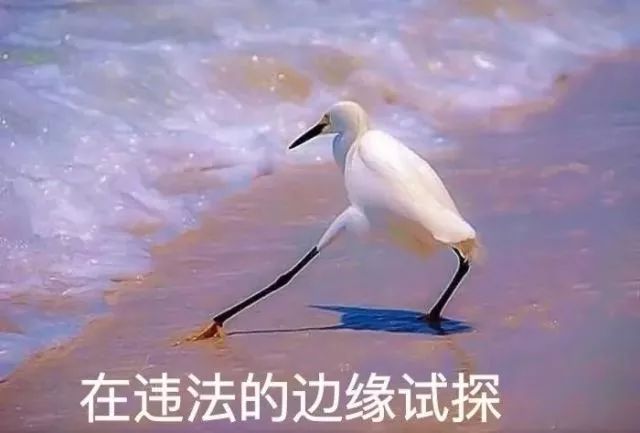 85岁阿婆带了4瓶止咳露入境，这一次深检君又创新了……