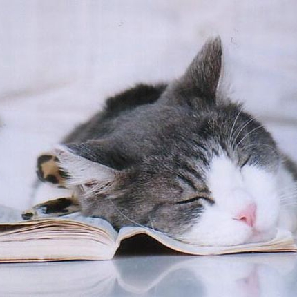 不容易衰老的保健品有哪些,世界公认的十大养生保健品