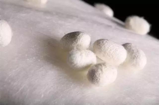 爱马仕丝巾凭什么这么贵？