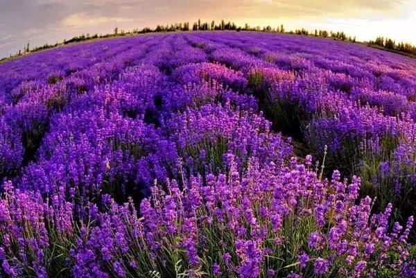 适合毕业旅行性价比比较高的景点,毕业旅行适合去哪儿玩儿