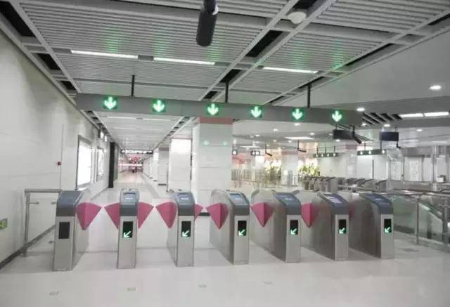 日本人这些脑洞大开的发明,日本那些奇奇怪怪的发明