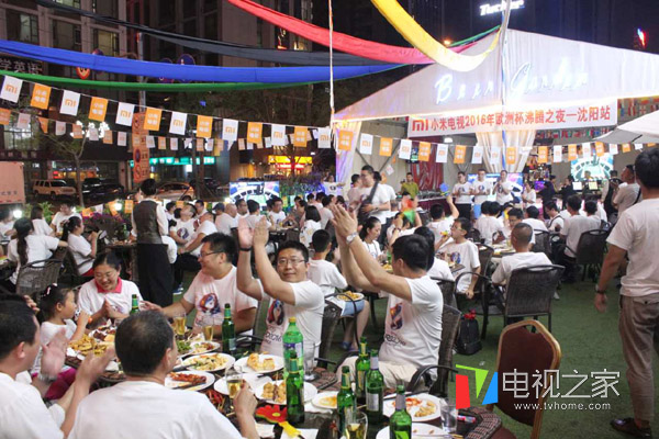 电视厂商的发展潜能,电视欧洲杯