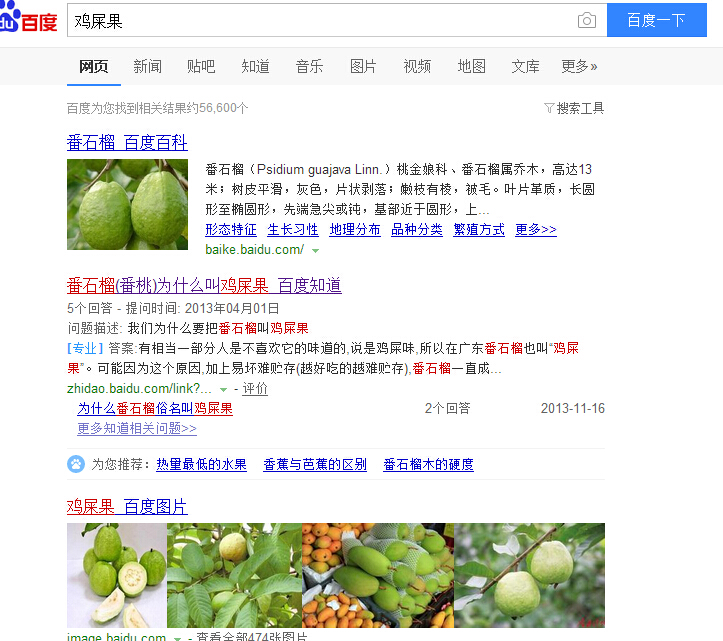 番石榴和鸡屎果的图片,鸡屎果番石榴