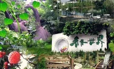 深圳小众游玩圣地,深圳一日游攻略最不值得去的地方