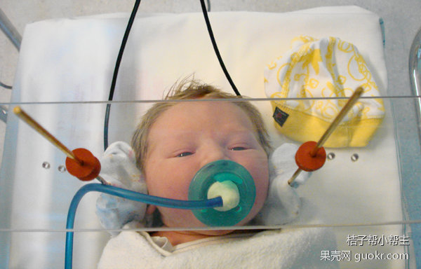 孕期能去看演唱会吗,怀孕晚期可以看演唱会