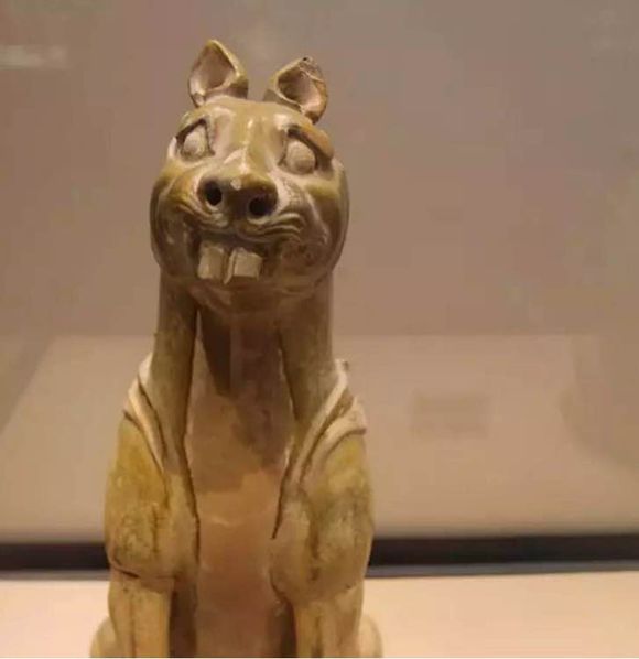 千年萌物大集结，到底谁才是真正的“*物文**萌主”！