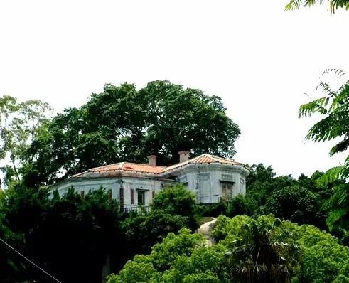 厦门鼓浪屿十大别墅背后的故事,厦门鼓浪屿最好的豪宅