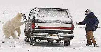 汽车不知道的冷知识自动落锁,欧洲禁止行车落锁