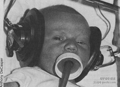 孕期能去看演唱会吗,怀孕晚期可以看演唱会