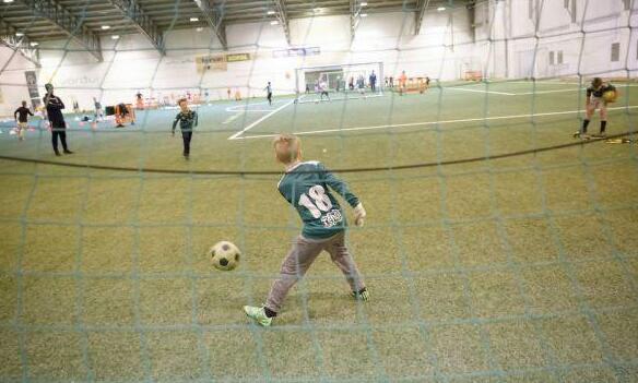 冰岛足球队的崛起,冰岛足球崛起