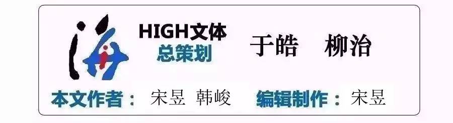 欧洲杯因伤退役的足球巨星,欧锦赛法国16强对阵