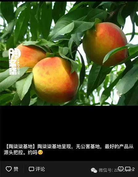 探店|被微商绑架的朋友圈