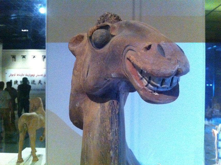 千年萌物大集结，到底谁才是真正的“*物文**萌主”！