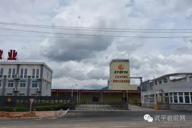 武平岩前有哪些景区,武平岩前有什么好玩的