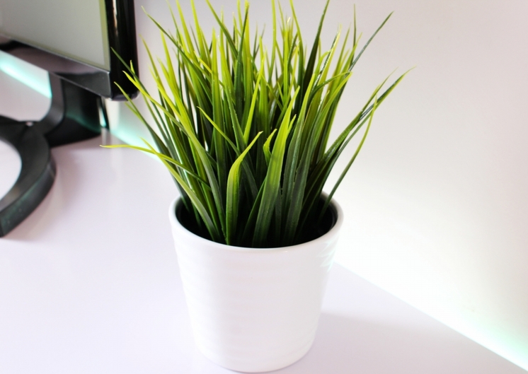 隔壁老王的办公桌抖音,隔壁老王的餐桌