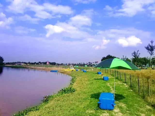 暑假避暑玩水胜地,暑假避暑玩水好去处