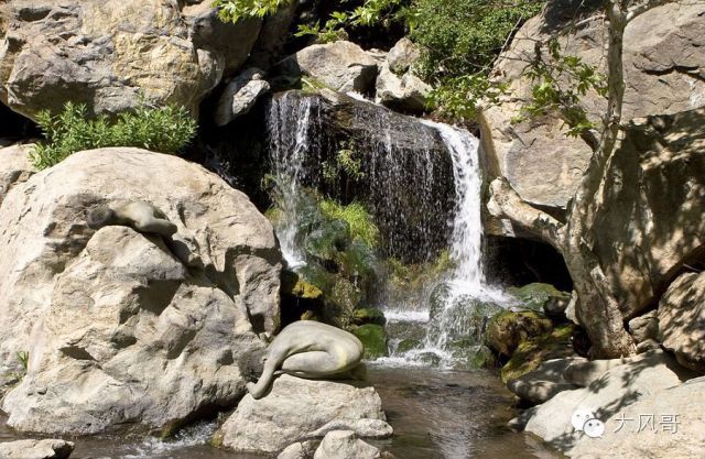 图：人体彩绘裸模藏进美景