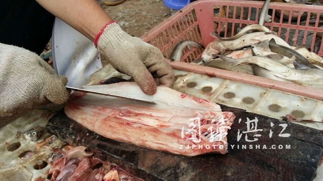 来自阳光的味道--雷州半岛的鱼干