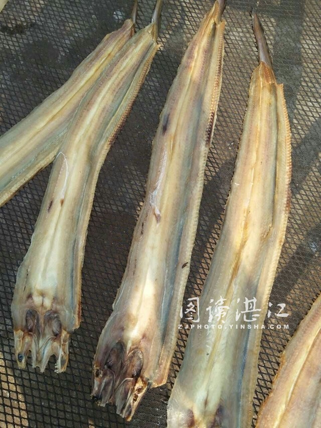 来自阳光的味道--雷州半岛的鱼干