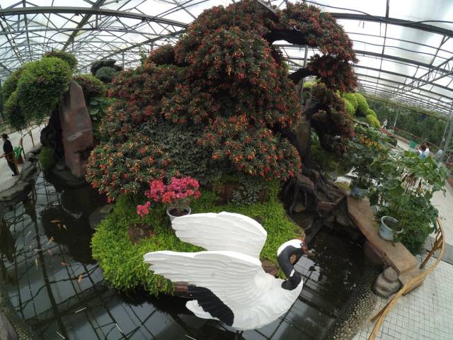 带上小蚁运动相机游潍坊（三）寿光菜博会