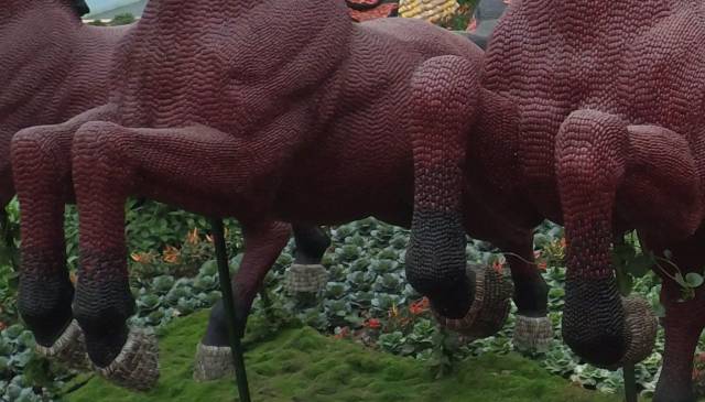 带上小蚁运动相机游潍坊（三）寿光菜博会