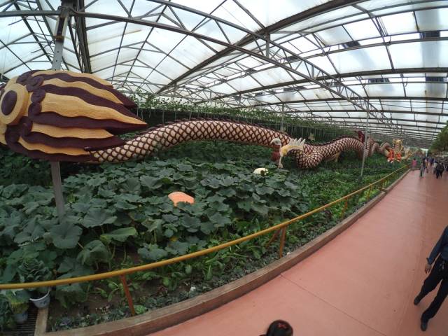 带上小蚁运动相机游潍坊（三）寿光菜博会