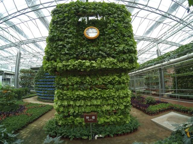 带上小蚁运动相机游潍坊（三）寿光菜博会