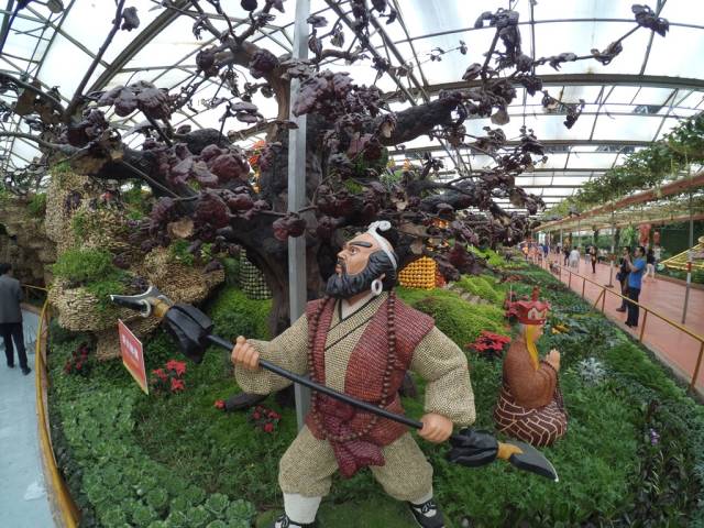 带上小蚁运动相机游潍坊（三）寿光菜博会