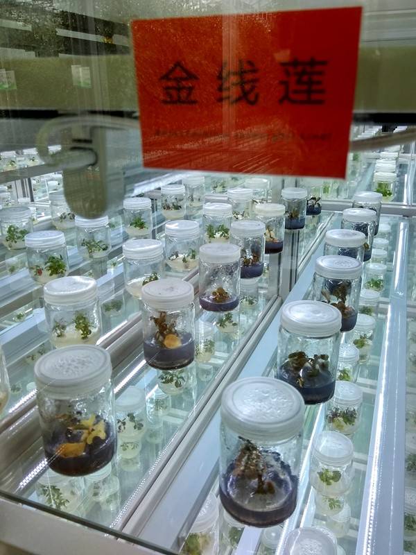 带上小蚁运动相机游潍坊（三）寿光菜博会