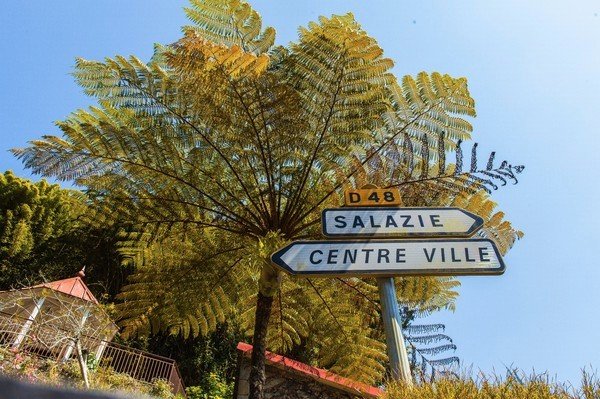 留尼汪有什么,留尼汪英文怎么读