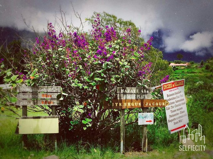 留尼汪有什么,留尼汪英文怎么读