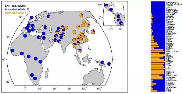 健康│狐臭是怎么产生的？如何让狐臭对别人导致的影响最小化？