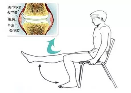 职业球员单腿爆发训练,职业球员脚踝爆发力怎么训练