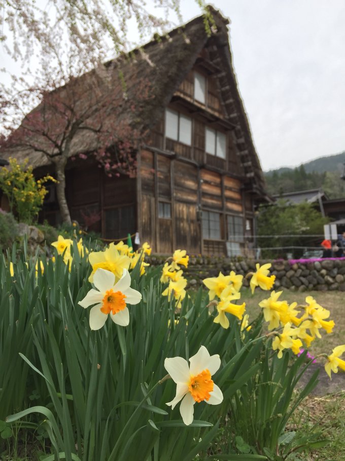 【不去会死】2016.春の小游-不走寻常路—日本升龙道,高山、白川乡）小丸子博物馆，附最新升龙道券使用报告