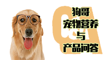 幼犬能吃成犬的犬粮吗,小型犬成犬狗粮幼犬能吃吗