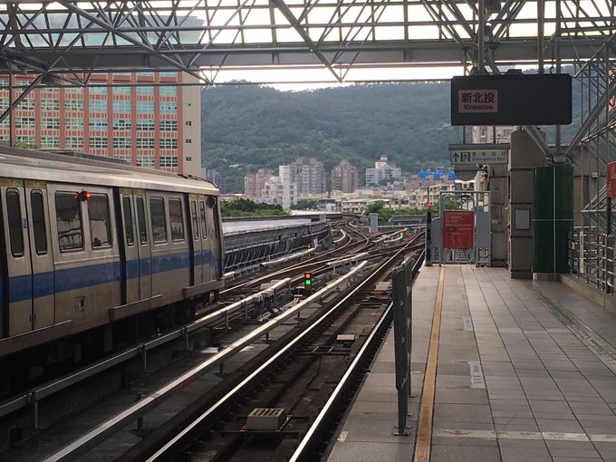 一路惊喜旅行,一路惊喜飞鸟和蝉