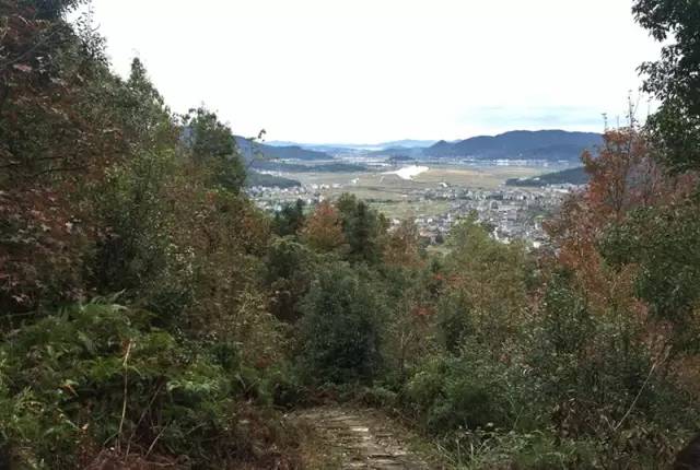 东南第一山私藏浙南最美的风情,浙江山林美宿攻略