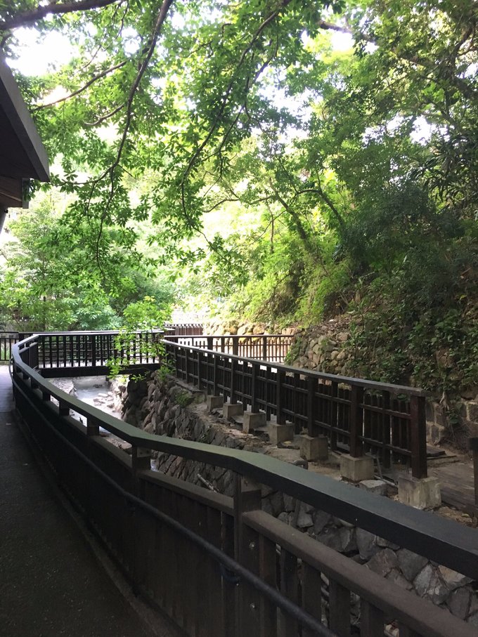 一路惊喜旅行,一路惊喜飞鸟和蝉