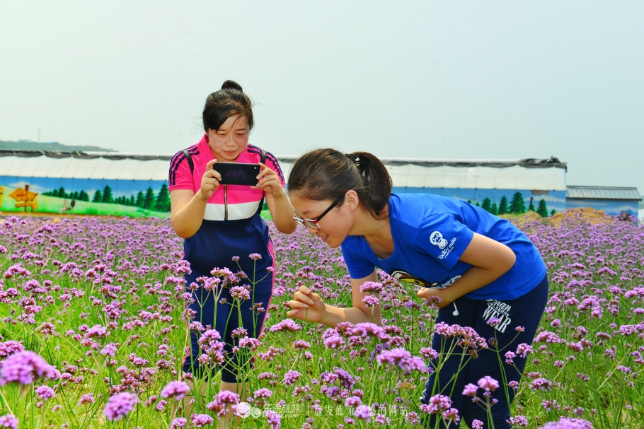 红石沟油菜花,红石沟秋景