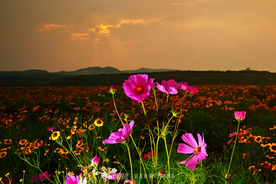 红石沟油菜花,红石沟秋景