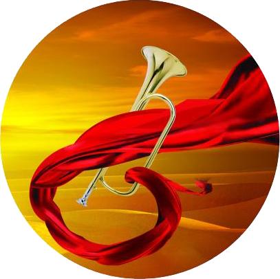 这些军人，今年“七一”接受了习总书记的表彰