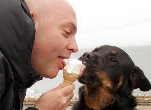 能跟狗狗一起吃一根雪糕吗,狗狗吃了雪糕棒怎么办