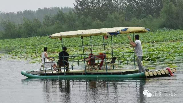 周口淮阳区龙湖赏荷,淮阳赏荷旅游开幕时间
