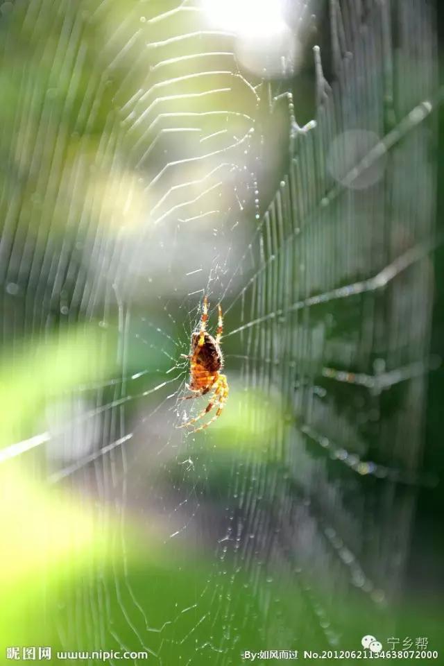 湖南乡村记实《童年杂记——虫伴》，值得一读！