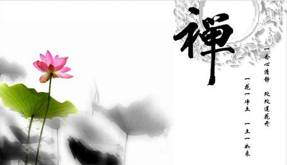 一花一世界一叶一菩提人生感悟,一花一世界一树一菩提一切皆随缘